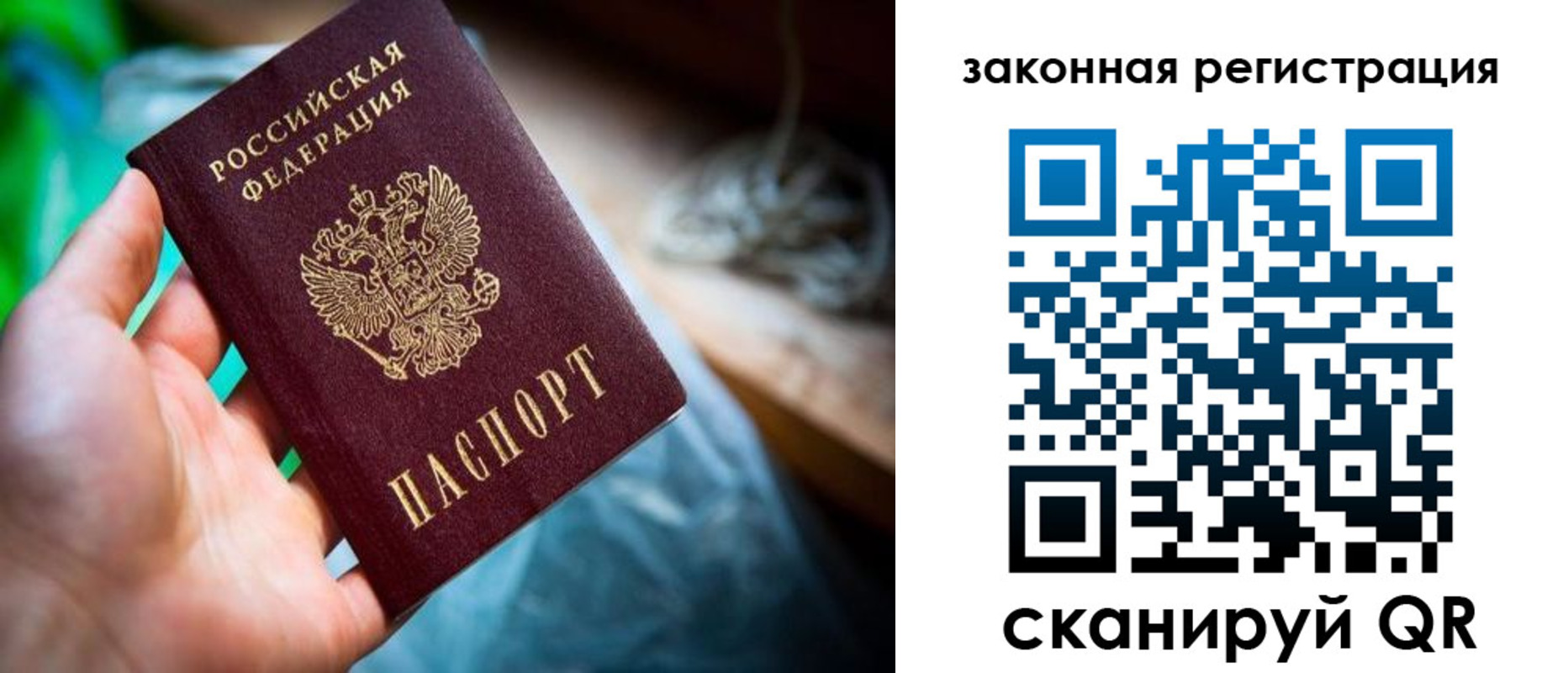 прописка в Николаевске-на-Амуре
